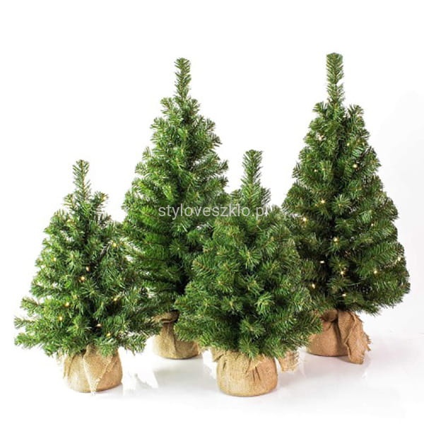 choinka świerk zielony w jucie.jpg