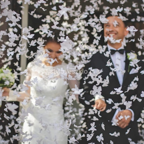 tuba wystrzałowa 80.jpg