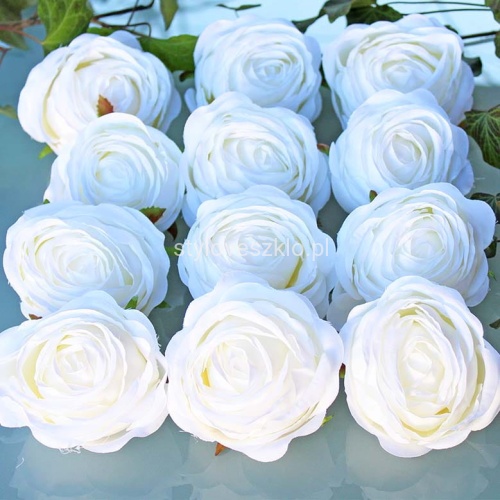 GŁÓWKI RÓŻ BIAŁE 12 SZT..jpg