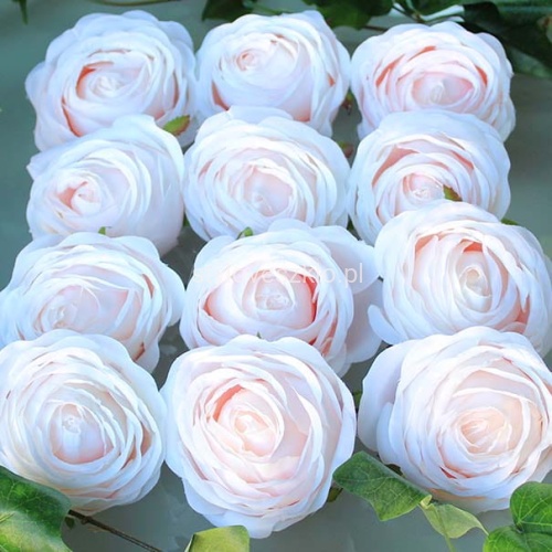 GŁÓWKI RÓŻ JASNORÓŻOWE 12 szt..jpg