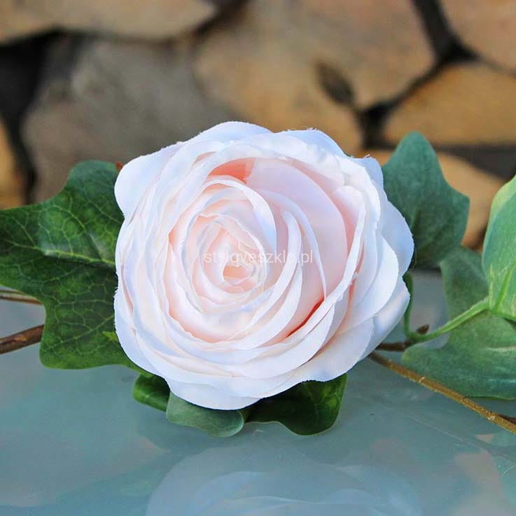 RÓŻA JASNORÓŻOWA.jpg