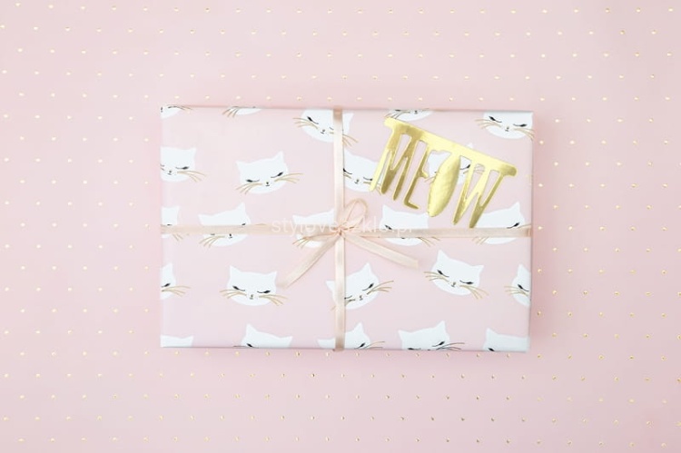 papier kotek meow.jpg