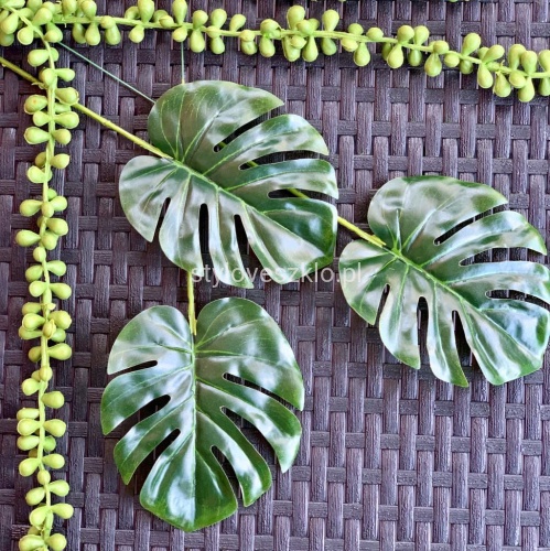 liscie monstera mini.jpg