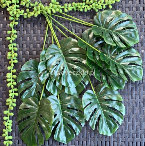 liscie monstera mini2.jpg