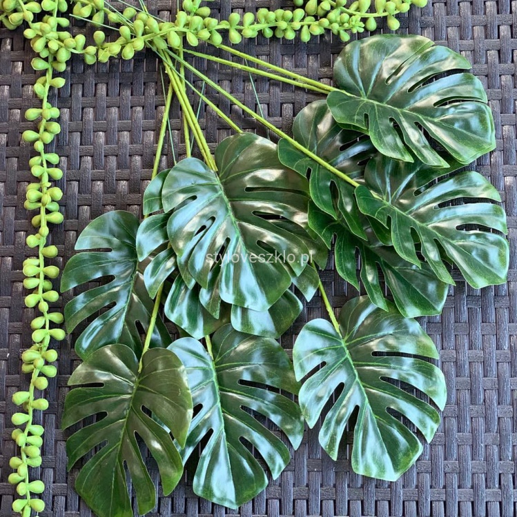 liscie monstera mini2.jpg
