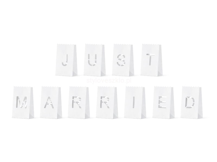 lampiony just married.jpg