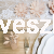 gałązki róż.jpg