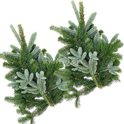 Gałęzie ze świeżej jodły Nobilis 80 cm 5 gk.jpg