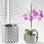 osłonka ceramiczna storczykówka silver 5.jpg