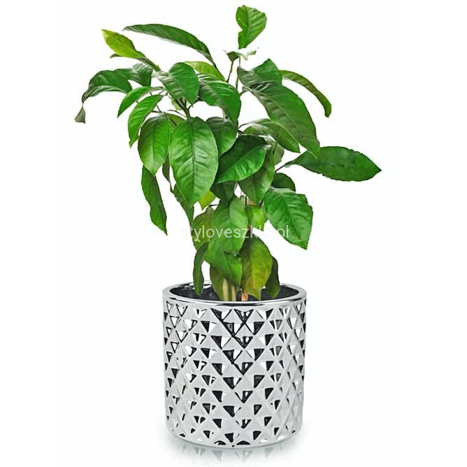 osłonka ceramiczna storczykowka srebrna.1.jpg