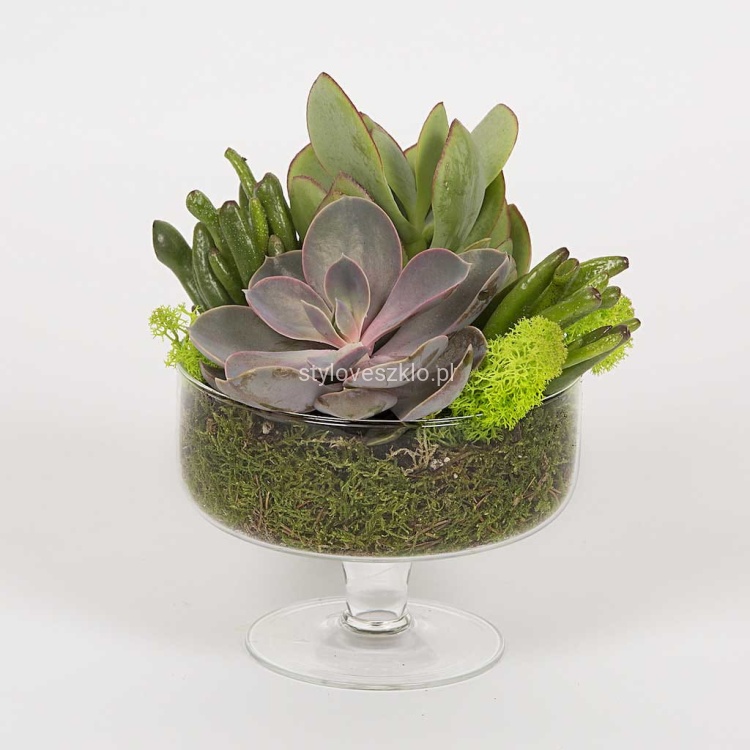 salaterka szklana na nodze n.jpg