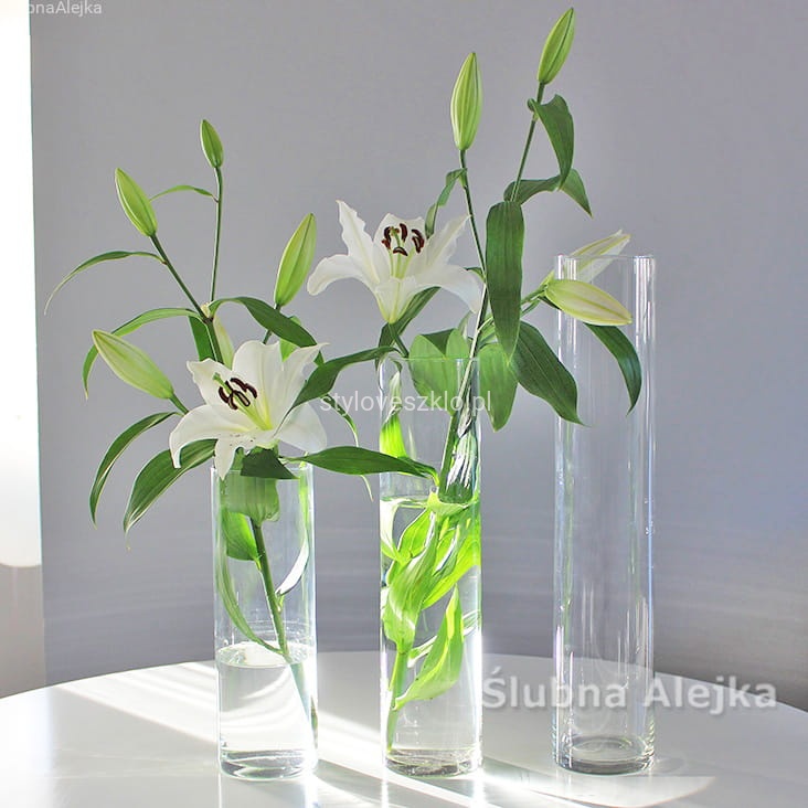 wazon szklany cylinder wąski.jpg