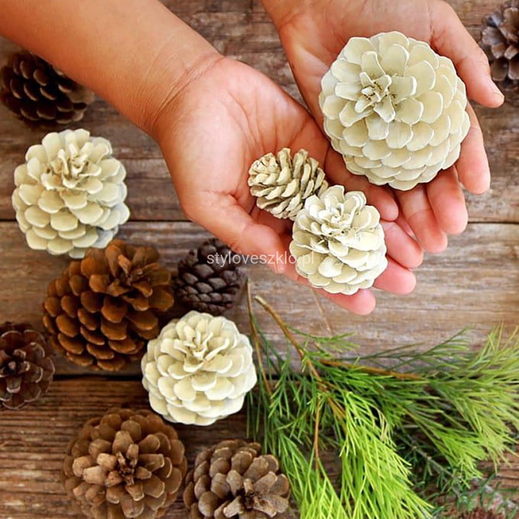 szyszki wybielone 2.jpg