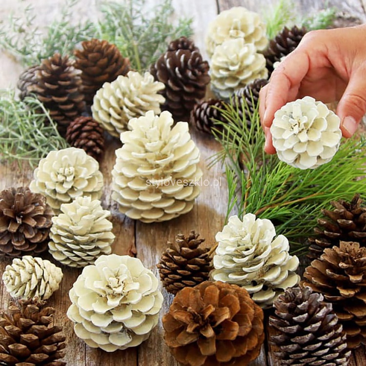 szyszki naturalne wybielone.jpg