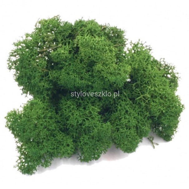 mech reniferowy ciemnozielony.jpg