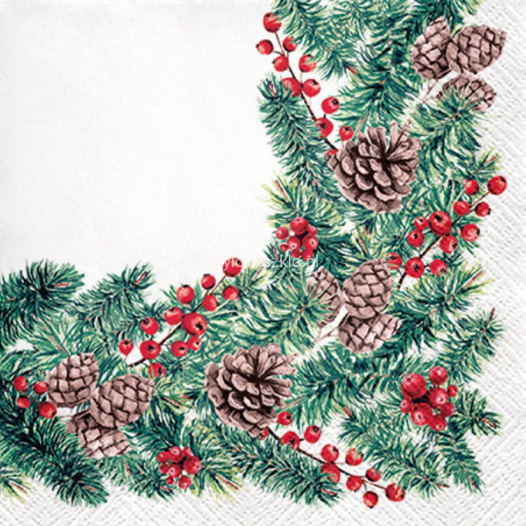 serwetki flizelinowe paw-winter-branches.jpg