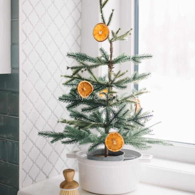 plasterki pomaranczy.jpg