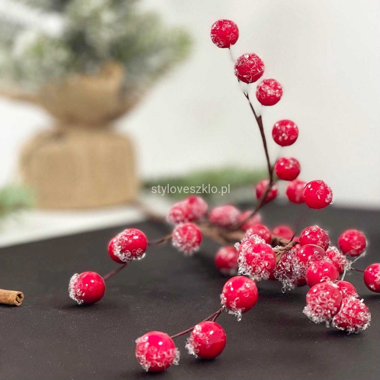 glog galazka mrozony.jpg