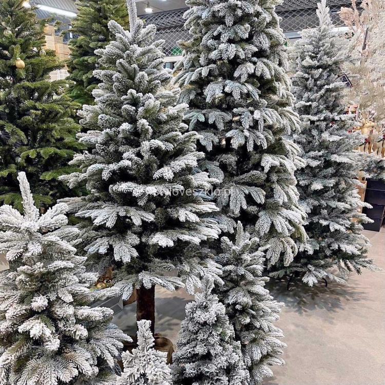 choinka na pniu śnieżona jak żywa.jpg