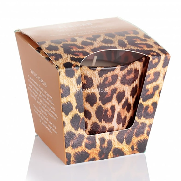 swieca bartek african lampart 2.jpg