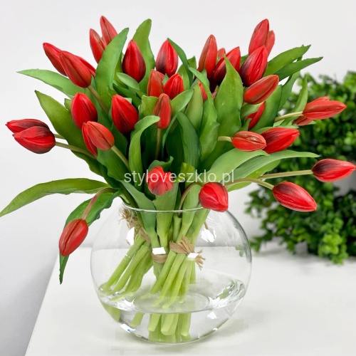 tulipany czerwone bukiecik 7 szt 7.jpg