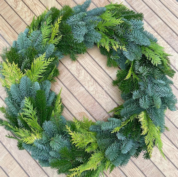 wianek z zywego świerku jodla nobilis mieszany.jpg