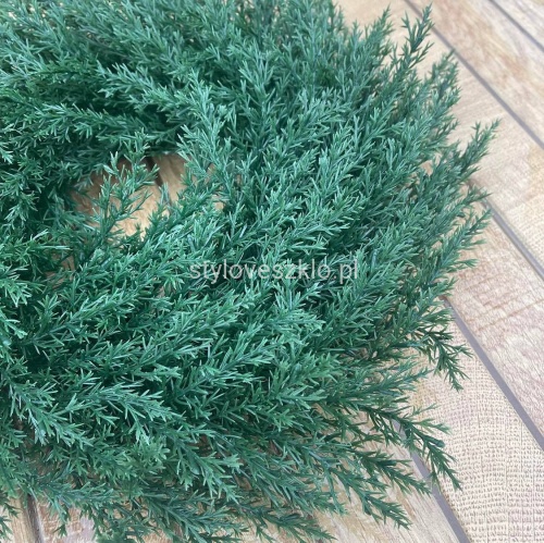 wianek tuja zielona fi35.jpg