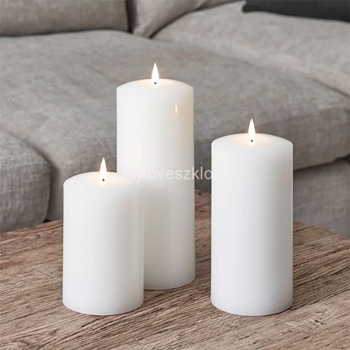 swieca zwyczajna biala .jpg