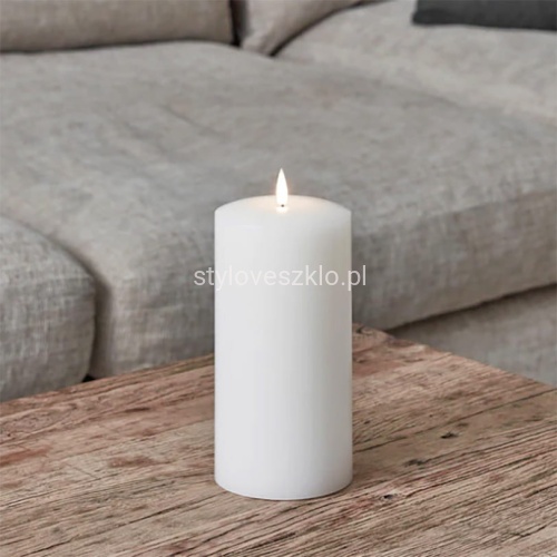 swieca zwyczajna biala srednia.jpg