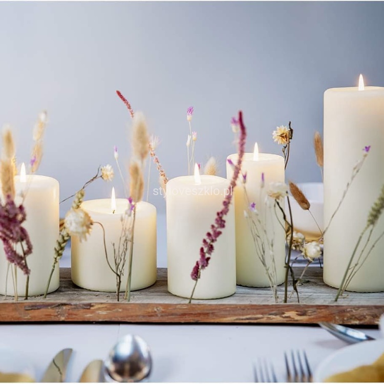 swieca zwyczajna new.jpg