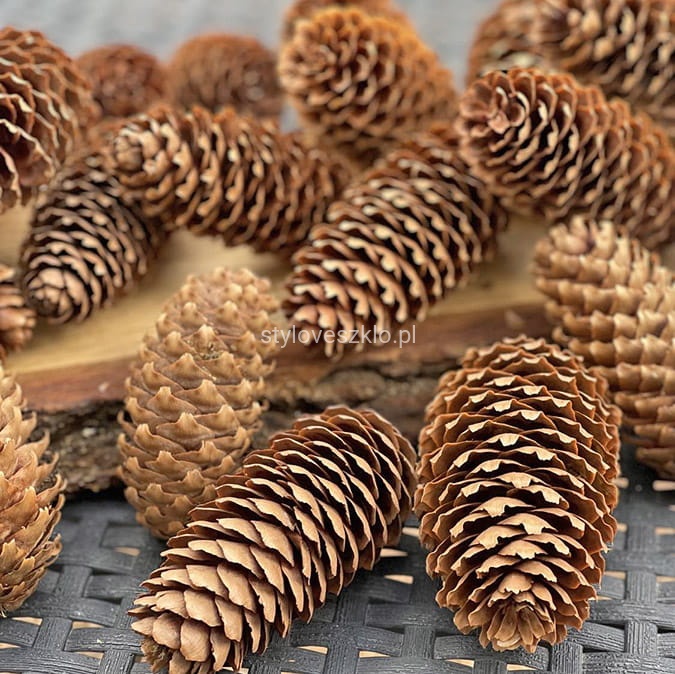 szyszki 20 szt.jpg