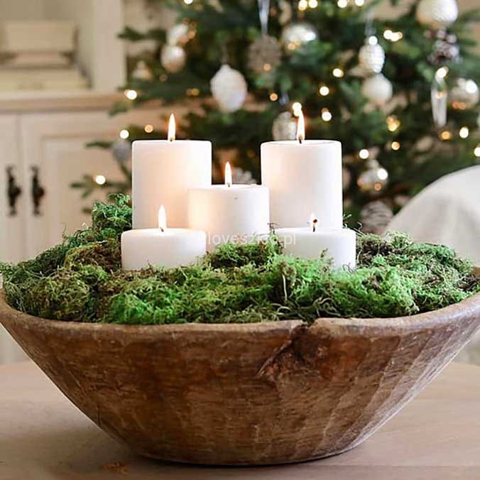 swieca poenkowa zwyczajna biala t.jpg