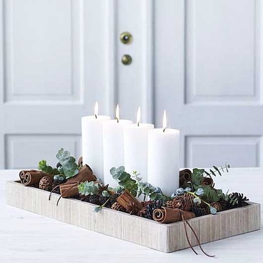 swieca zwyczajna kompozycja.jpg