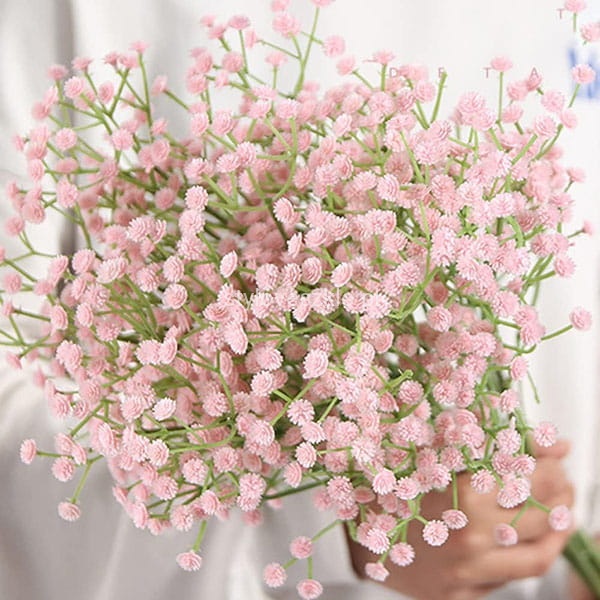 gipsówka jasnorozowa 50cm.jpg