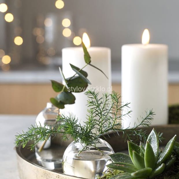 swieca zwyczajna biala fi7 tt.jpg