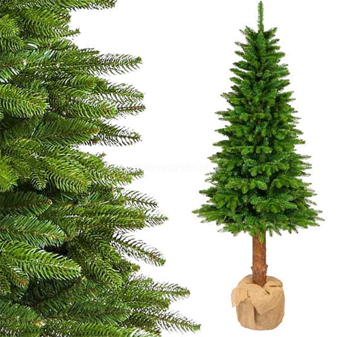 CHOINKA ZIELONA JAK ZYWA.jpg