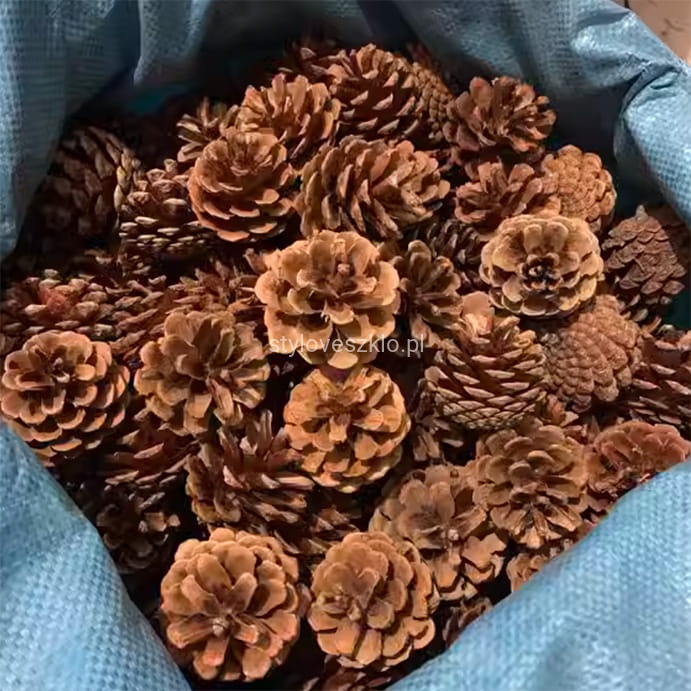 szyszki male naturalne.jpg