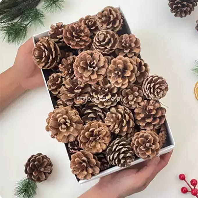 szyszki dekoracyjne zwyczajne 20 szt..jpg