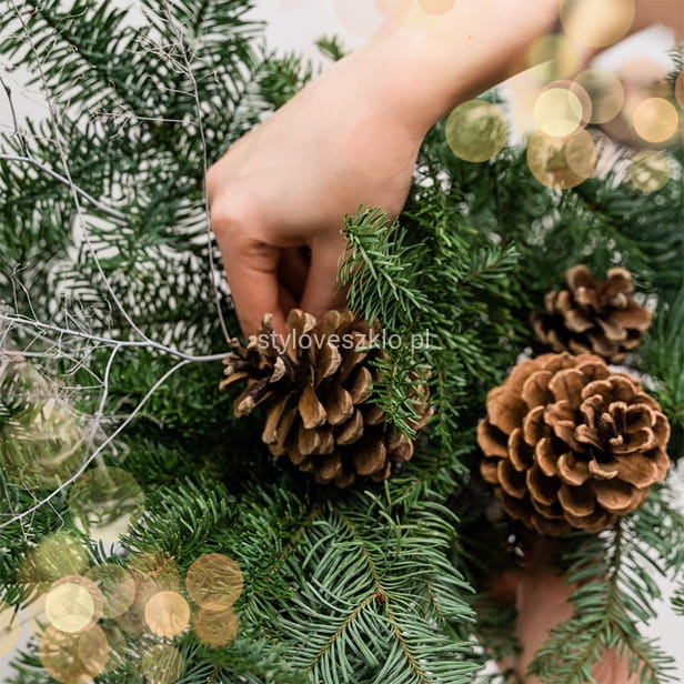 szyszki sosny zwyczajnej .jpg