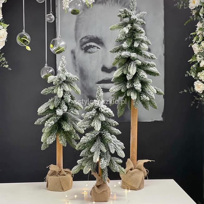 Choinka na Naturalnym Pniu Oslo PE Frost.jpg
