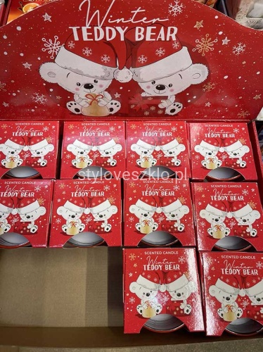 swieca winter teddy bear.jpg