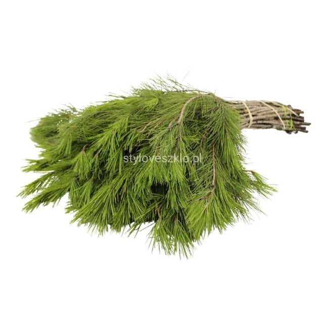 Gałęzie sosny wejmutki 80cm.jpg