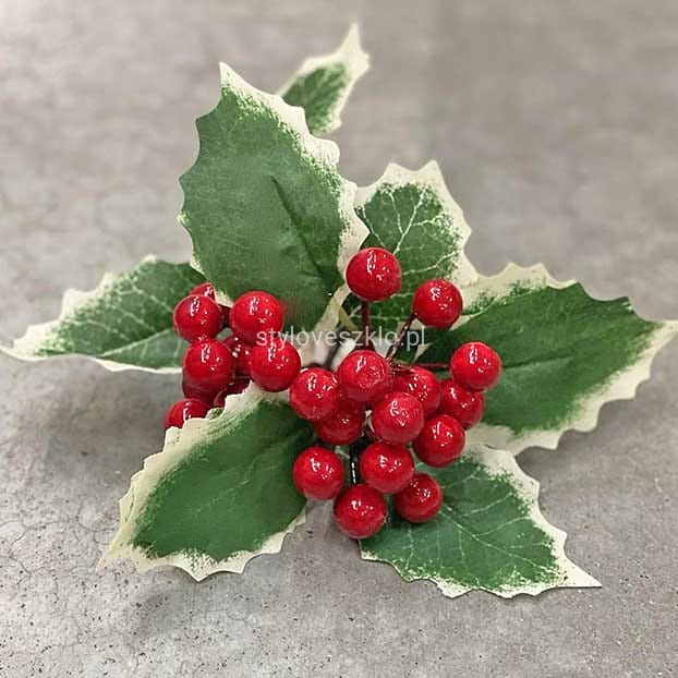 Ostrokrzew na piku Holly Berry.n.jpg