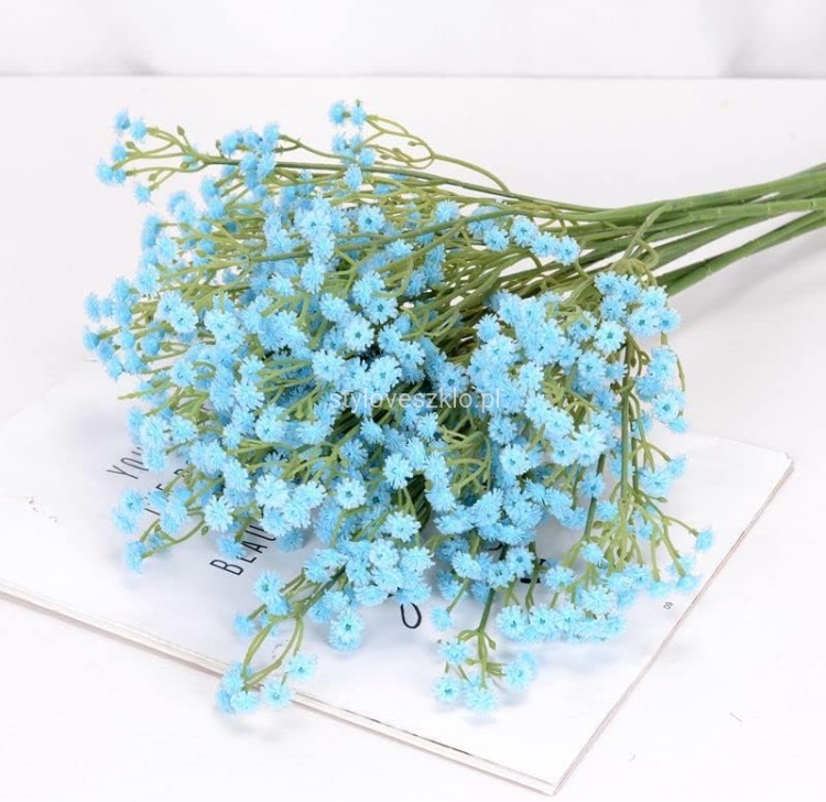 Gipsówka błękitna 2.jpg