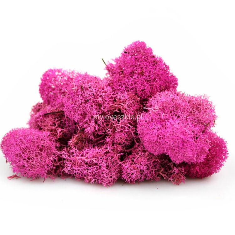 mech reniferowy ciemnorożowy 200g.jpg