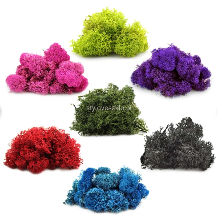 mech chrobotek paleta kolorow.jpg