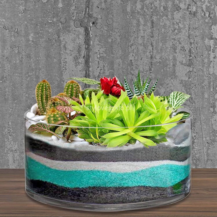 Misa szklana dekoracyjna wysoka fi25 cm h12 cm.2.jpg