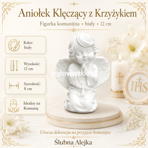 z-krzyzykiem.png