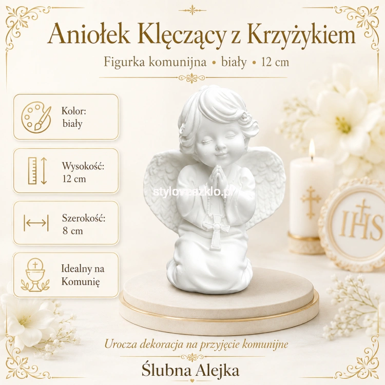 z-krzyzykiem.png