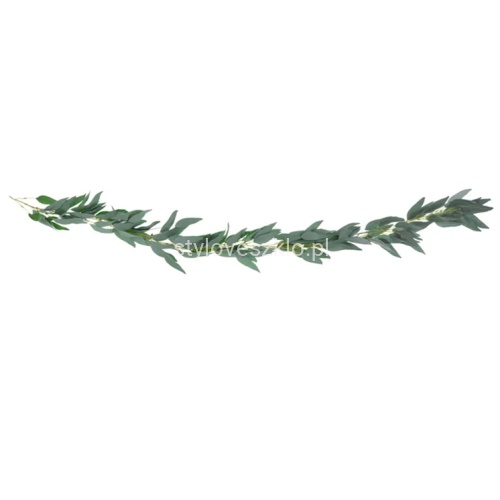 girlanda zielone liscie wierzby .jpg